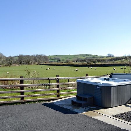 Bryn Melyn - Uk6518 Villa Frongoch ภายนอก รูปภาพ